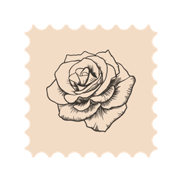 Bahía Rosa